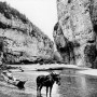 histoire-bateliers-gorges-du-tarn_04